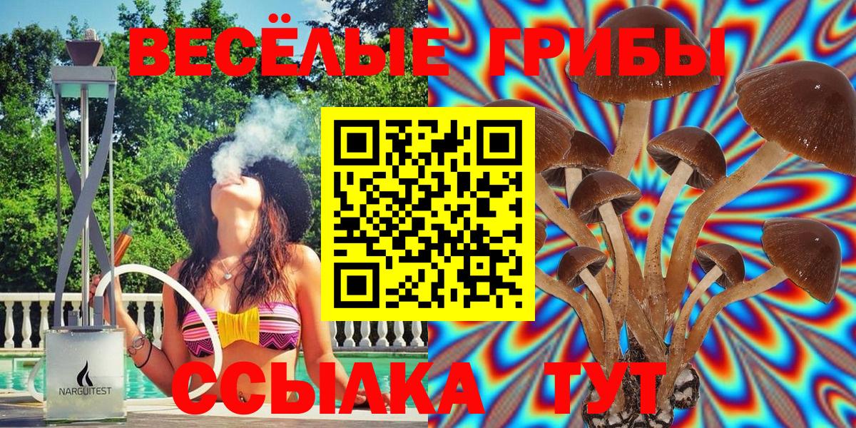 Псилоцибиновые грибы GOLDEN TEACHER Солнечногорск