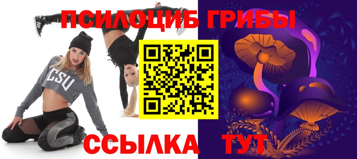 что такое наркотик  Вход с VPN  Солнечногорск  Псилоцибиновые грибы Cubensis  Псилоцибиновые грибы Psilocybe 